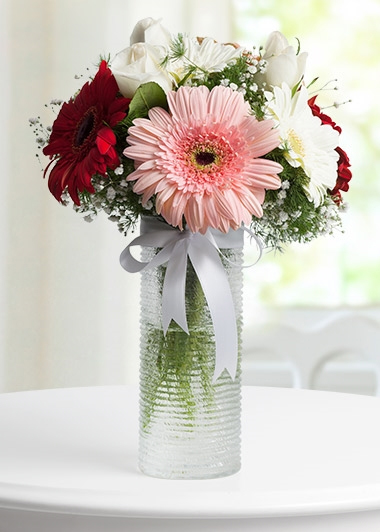 Vazoda Gerbera
